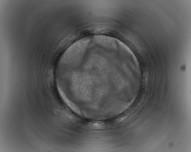 X0000099480506200805301621