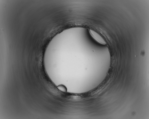 X0000099480509200805301621