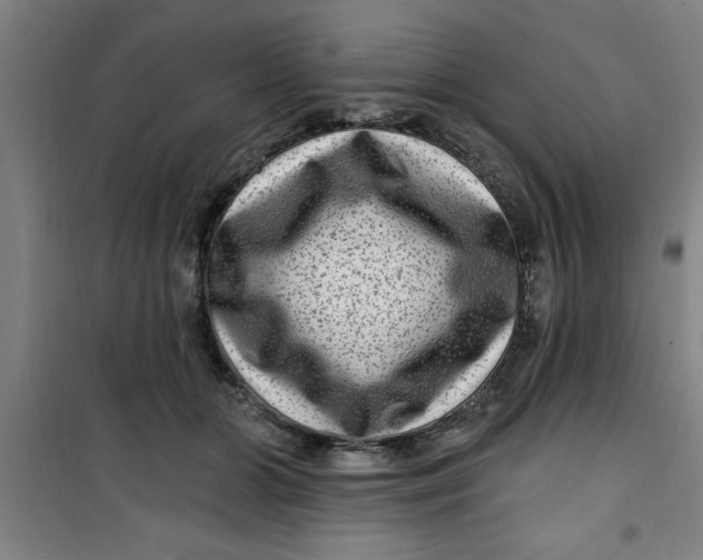 X0000099480510200805301621