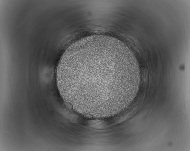 X0000099480511200805301621