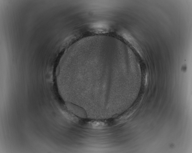 X0000099480512200805301621