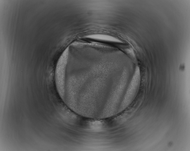 X0000099480513200805301621