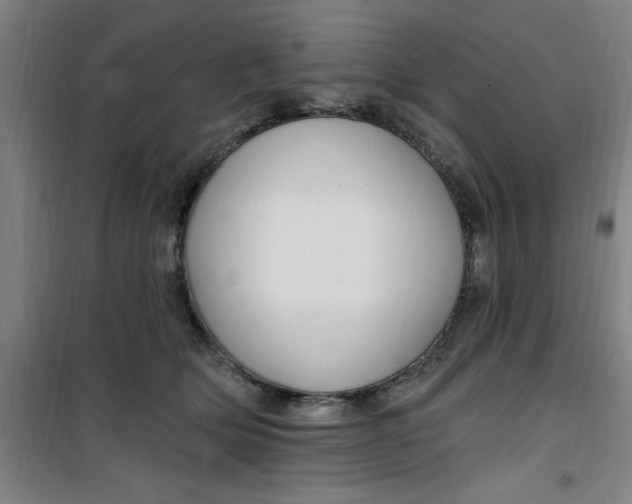 X0000099480514200805301621