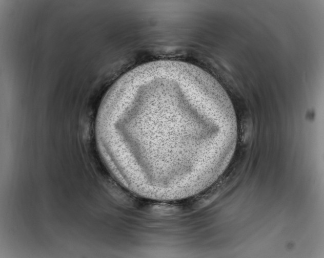 X0000099480515200805301621