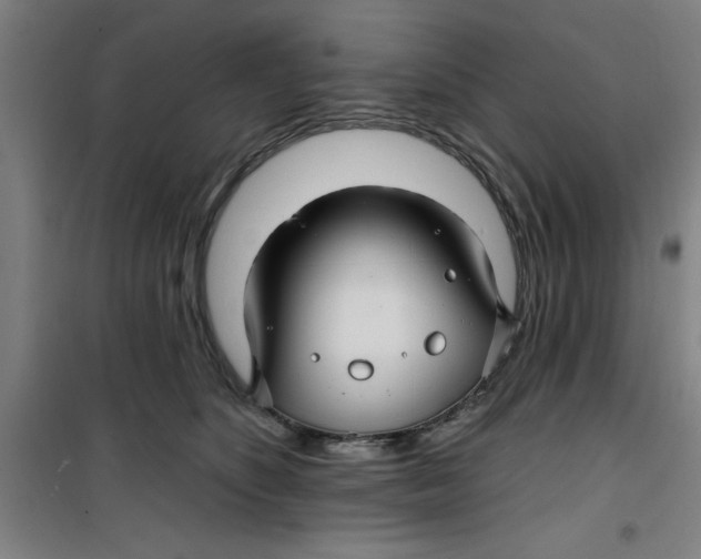 X0000099480516200805301621