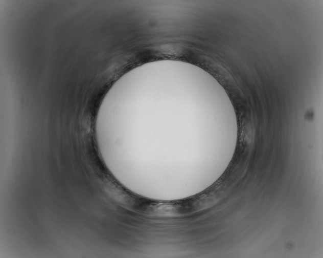 X0000099480518200805301621