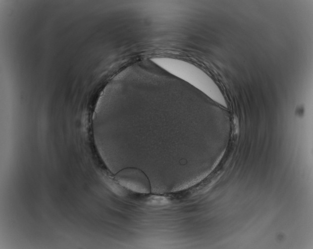 X0000099480519200805301621