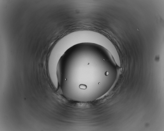 X0000099480520200805301621