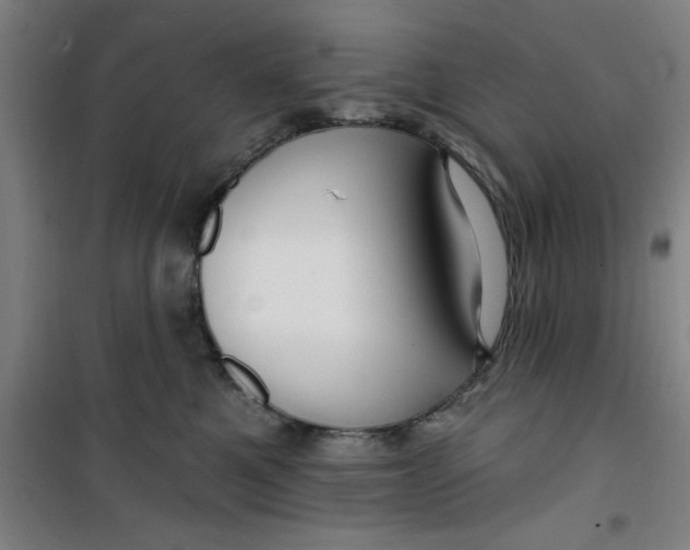 X0000099480521200805301621