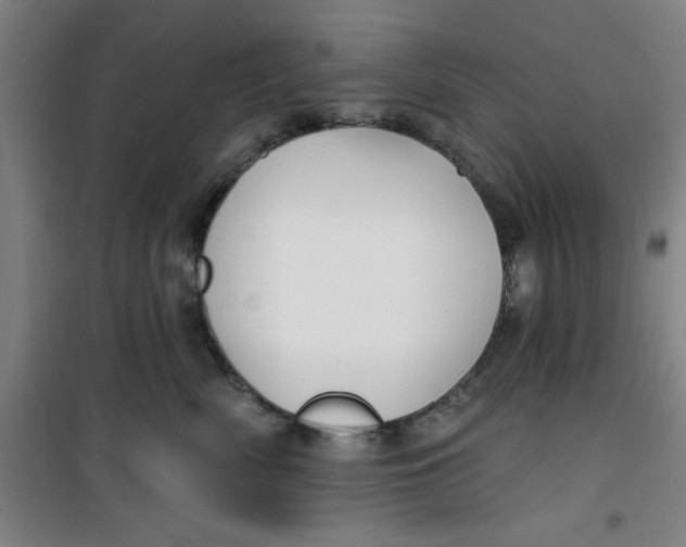 X0000099480522200805301621