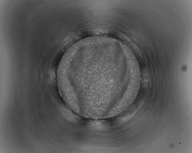 X0000099480523200805301621