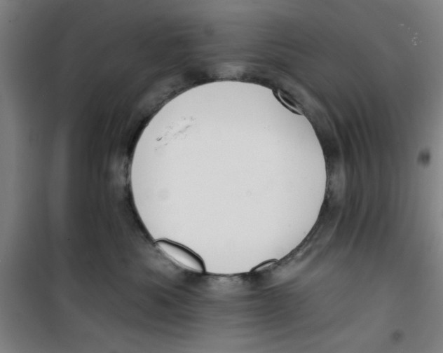 X0000099480525200805301621