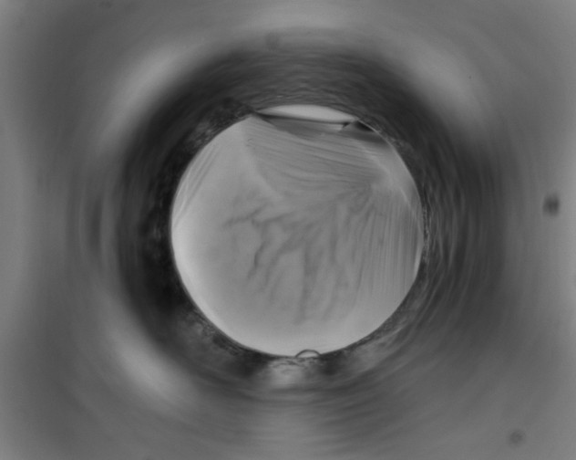 X0000099480526200805301621