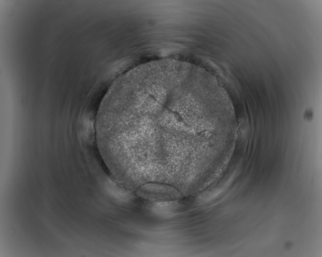 X0000099480527200805301621