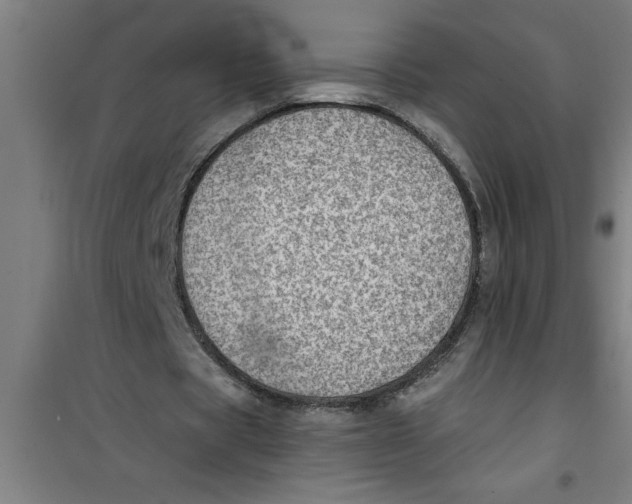 X0000099480529200805301621