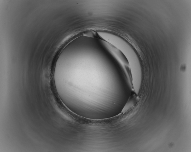 X0000099480530200805301621