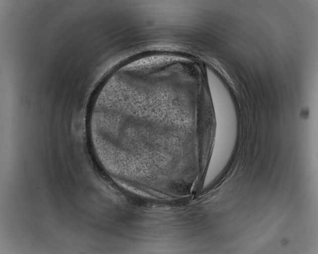 X0000099480531200805301621