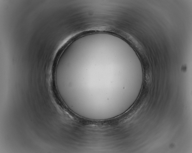 X0000099480532200805301621