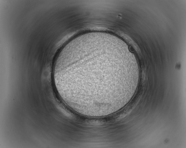 X0000099480533200805301621