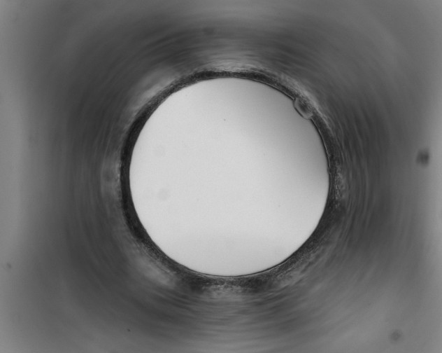 X0000099480535200805301621