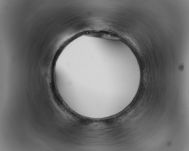 X0000099480536200805301621