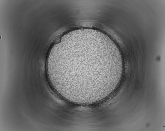 X0000099480537200805301621