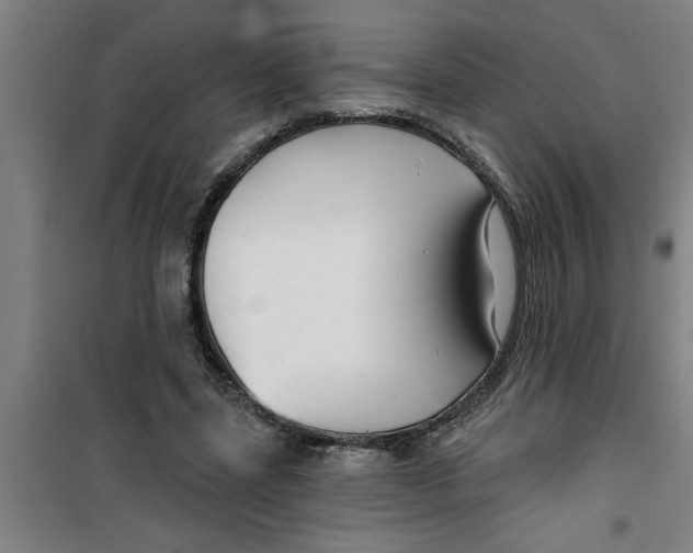 X0000099480539200805301621