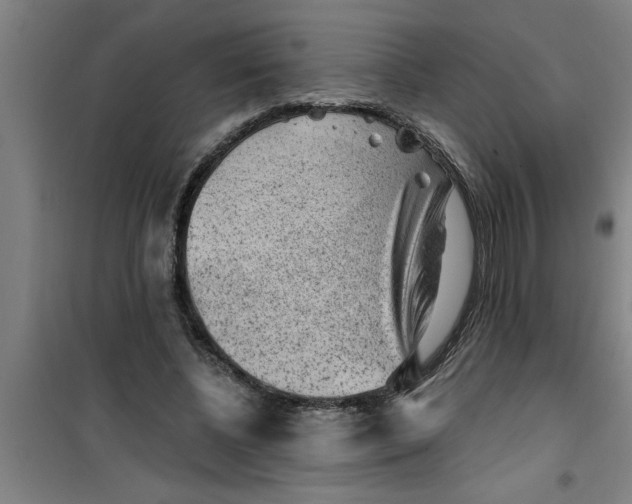 X0000099480540200805301621