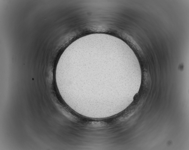 X0000099480541200805301621
