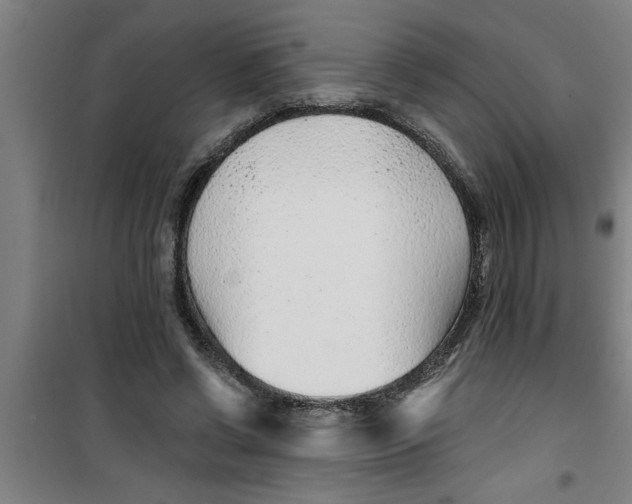 X0000099480542200805301621
