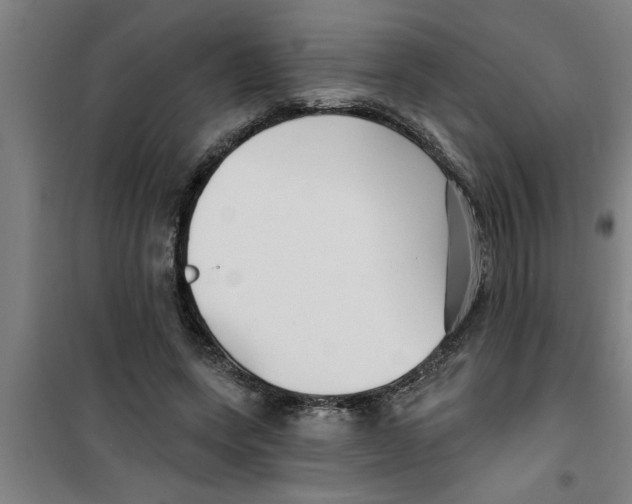 X0000099480543200805301621
