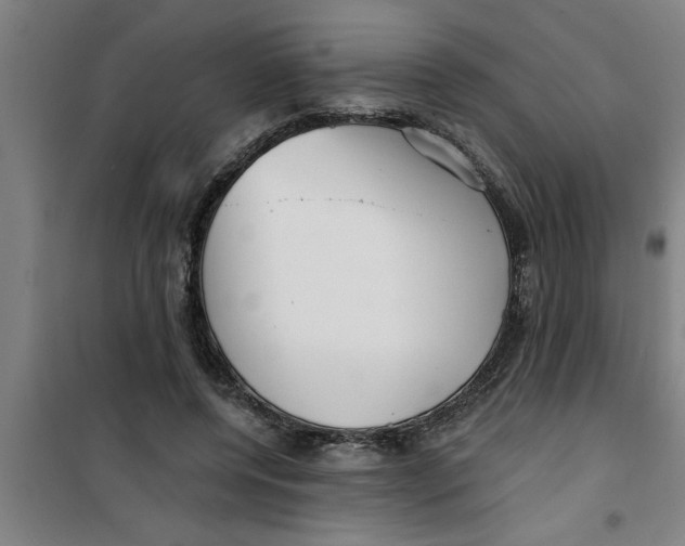 X0000099480544200805301621