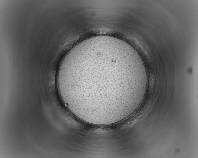 X0000099480545200805301621