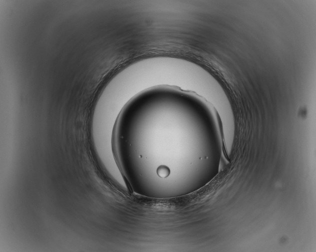 X0000099480546200805301621