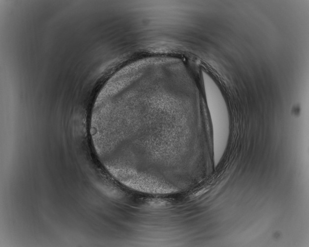 X0000099480547200805301621