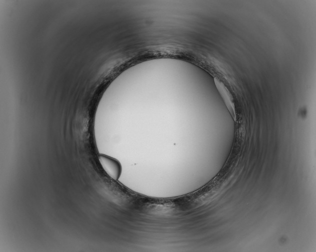 X0000099480548200805301621