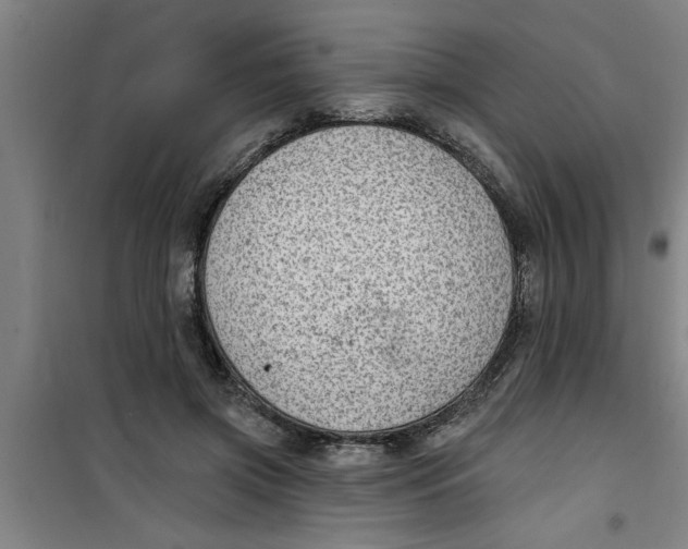 X0000099480549200805301621