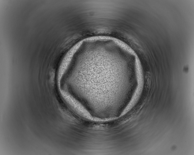 X0000099480550200805301621