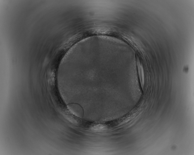 X0000099480551200805301621