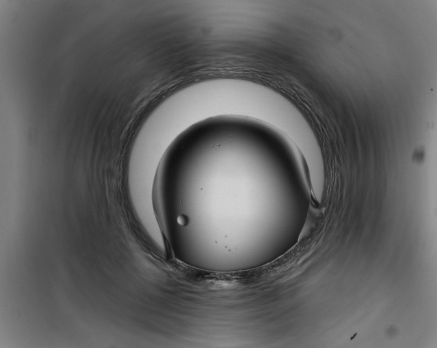 X0000099480552200805301621