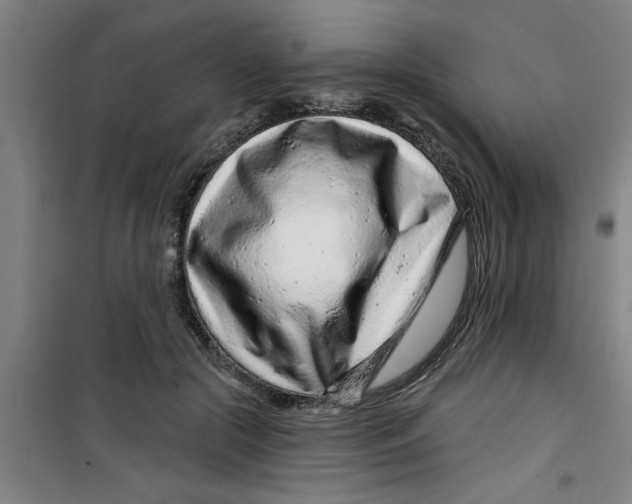 X0000099480553200805301621