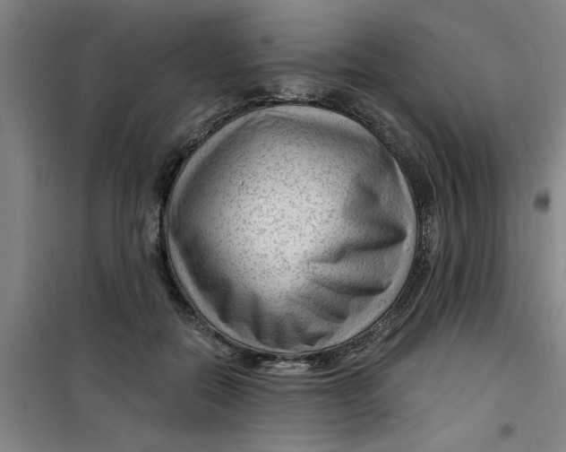 X0000099480554200805301621