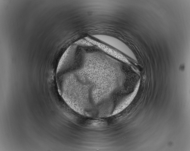 X0000099480555200805301621