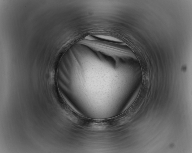 X0000099480556200805301621