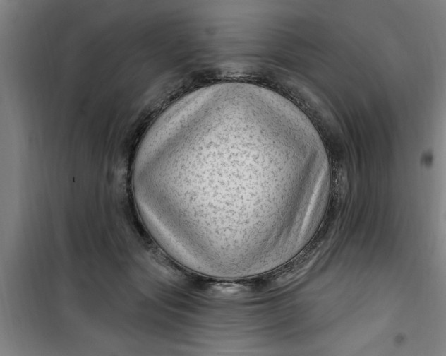 X0000099480557200805301621