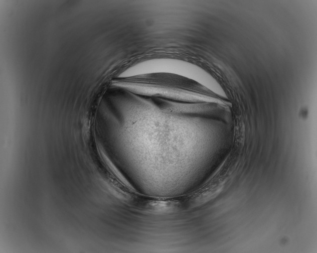 X0000099480558200805301621