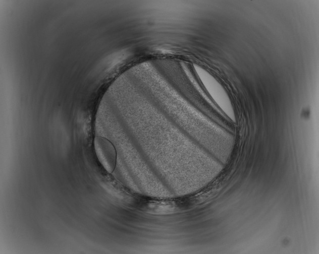 X0000099480559200805301621
