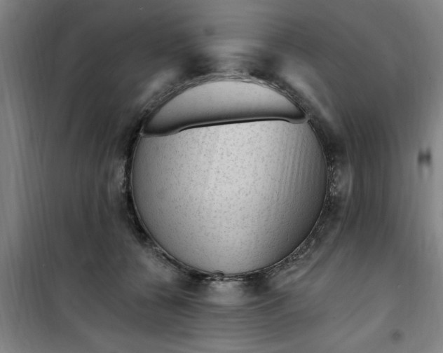 X0000099480560200805301621