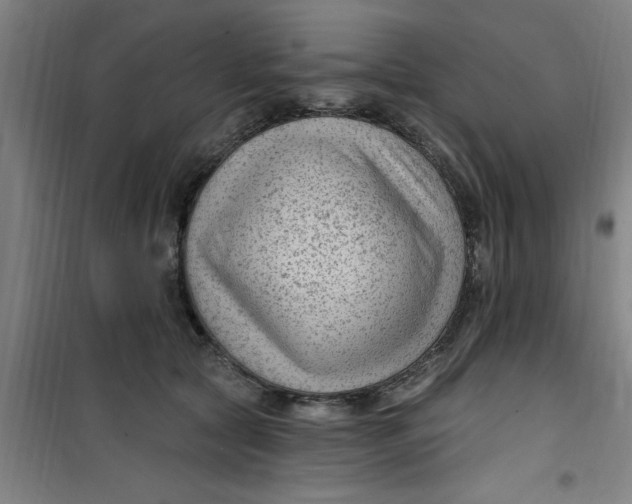 X0000099480561200805301621