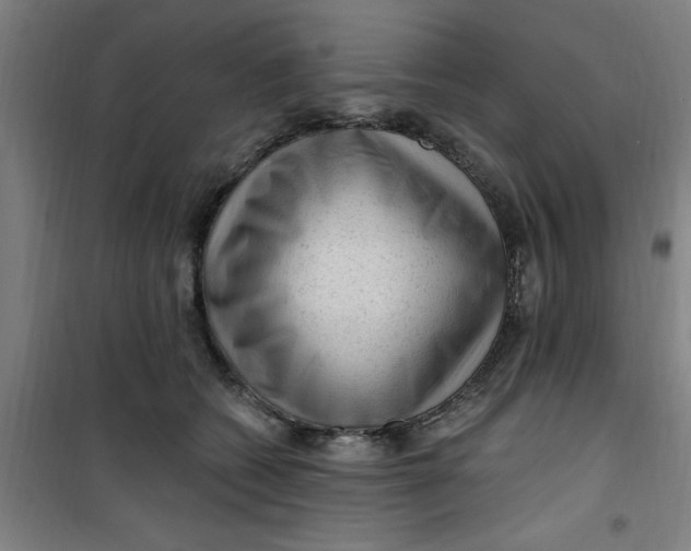 X0000099480562200805301621